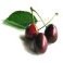 cherries