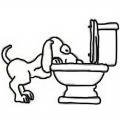 cartoon of dog drinking from toilet