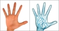 image of hand scan