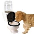 image of water bowl toilet