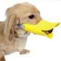 image of a dog wearing a quack muzzle that looks like a duck